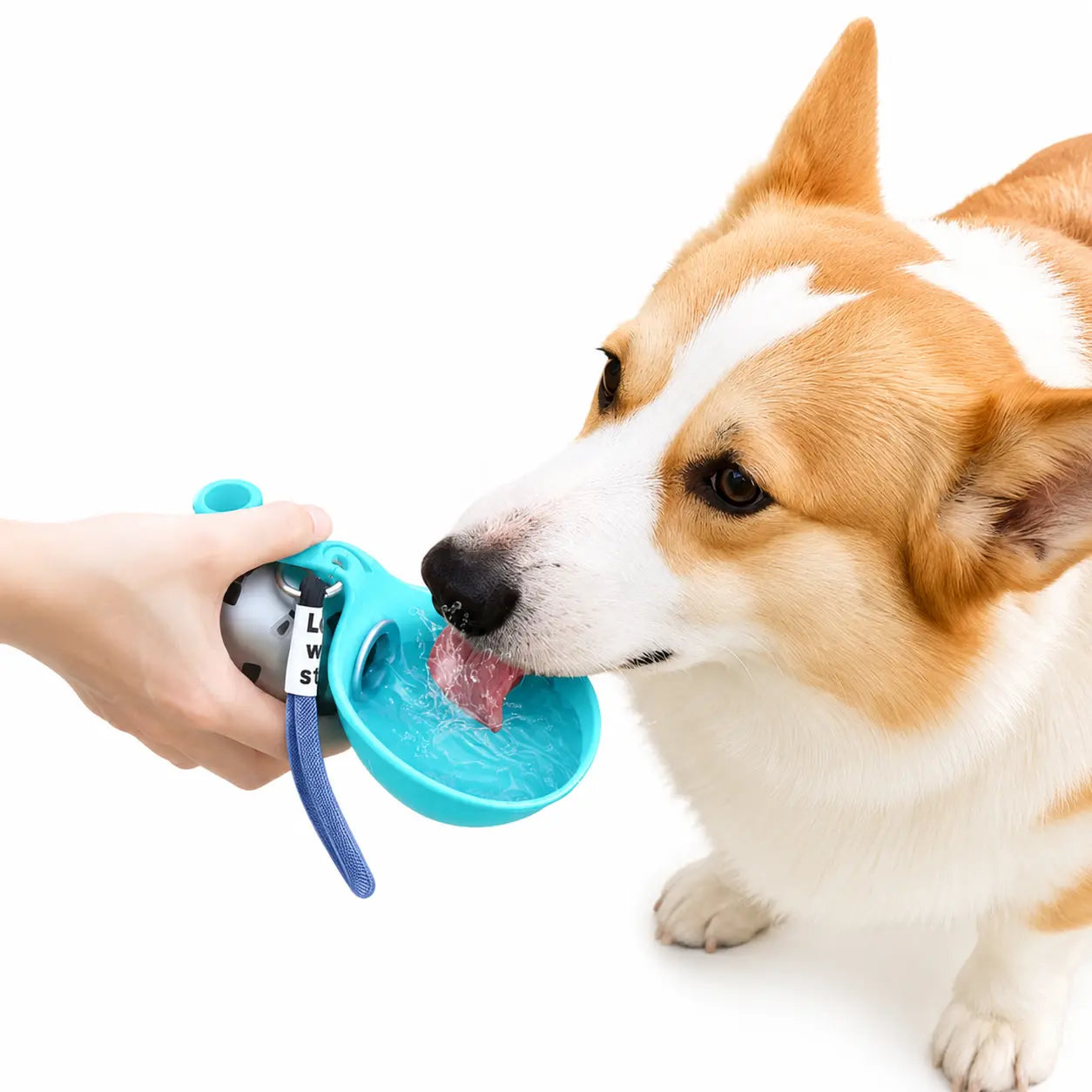 Premium Spill-Proof Dog Water Dispenser – High-Quality, Portable Bottle for All-Terrain Travel with Effortless Single-Handed Operation and Guaranteed Leak-Free Design